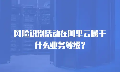 风险识别活动在阿里云属于什么业务等级？