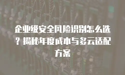 企业级安全风险识别怎么选？揭秘年度成本与多云适配方案
