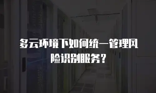 多云环境下如何统一管理风险识别服务？