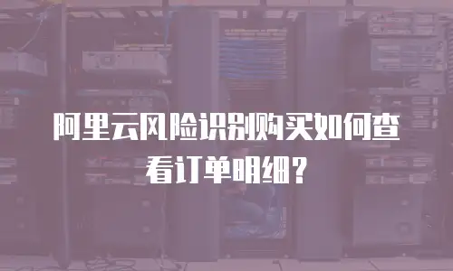 阿里云风险识别购买如何查看订单明细？