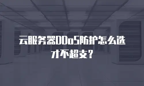 云服务器DDoS防护怎么选才不超支？