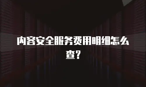 内容安全服务费用明细怎么查？