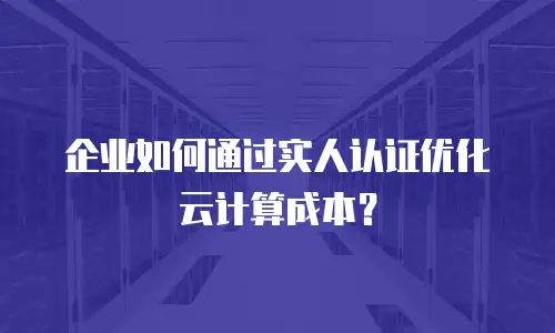 企业如何通过实人认证优化云计算成本？