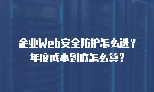 企业Web安全防护怎么选？年度成本到底怎么算？