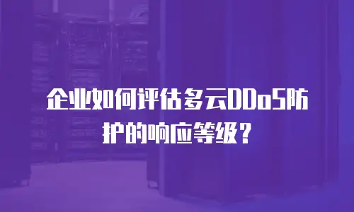 企业如何评估多云DDoS防护的响应等级？