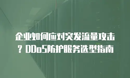 企业如何应对突发流量攻击？DDoS防护服务选型指南