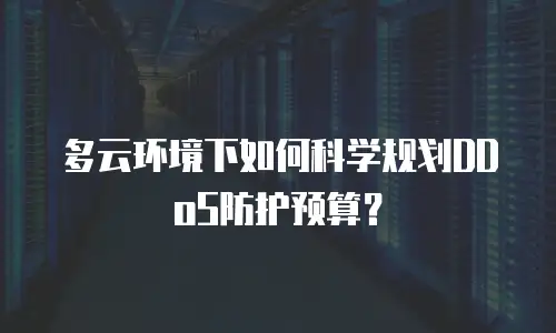多云环境下如何科学规划DDoS防护预算？