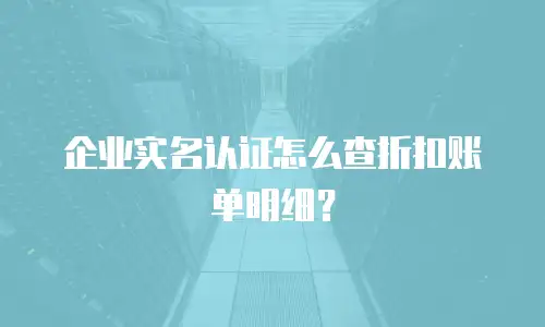 企业实名认证怎么查折扣账单明细？