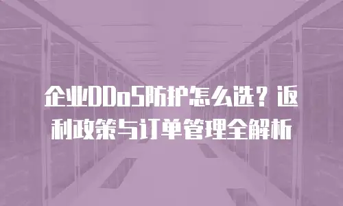企业DDoS防护怎么选？返利政策与订单管理全解析
