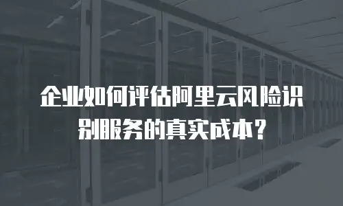 企业如何评估阿里云风险识别服务的真实成本？