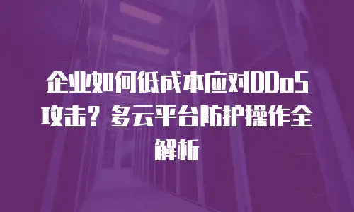 企业如何低成本应对DDoS攻击？多云平台防护操作全解析