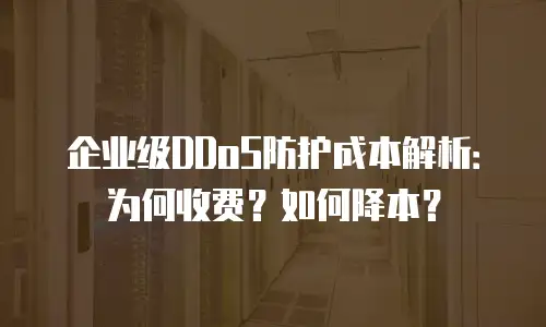 企业级DDoS防护成本解析：为何收费？如何降本？