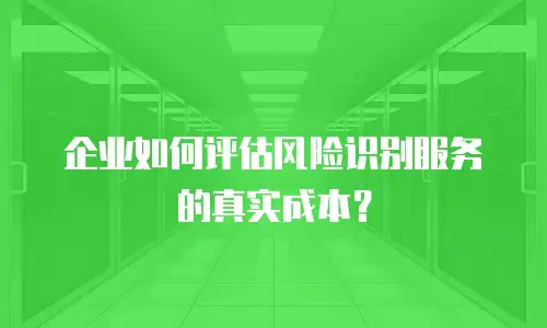 企业如何评估风险识别服务的真实成本？