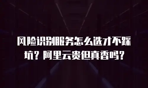 风险识别服务怎么选才不踩坑？阿里云贵但真香吗？