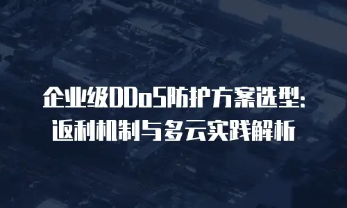 企业级DDoS防护方案选型：返利机制与多云实践解析