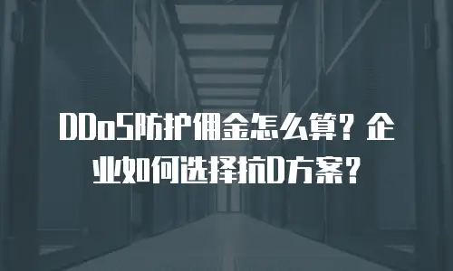 DDoS防护佣金怎么算？企业如何选择抗D方案？