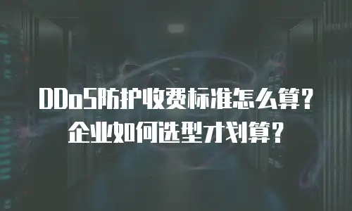 DDoS防护收费标准怎么算？企业如何选型才划算？