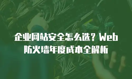 企业网站安全怎么选？Web防火墙年度成本全解析