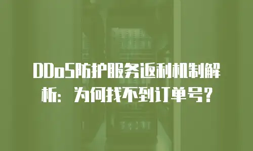 DDoS防护服务返利机制解析：为何找不到订单号？