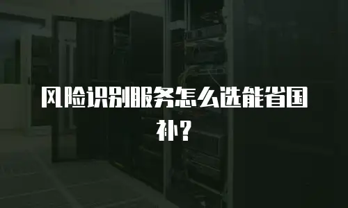 风险识别服务怎么选能省国补？