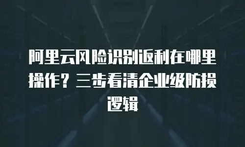 阿里云风险识别返利在哪里操作？三步看清企业级防损逻辑
