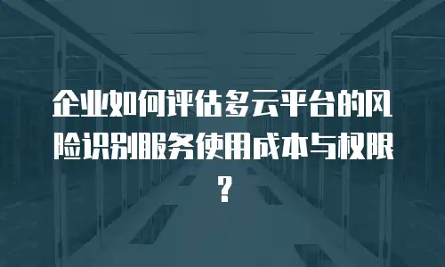 企业如何评估多云平台的风险识别服务使用成本与权限？