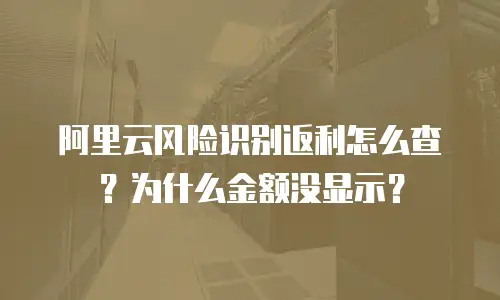 阿里云风险识别返利怎么查？为什么金额没显示？
