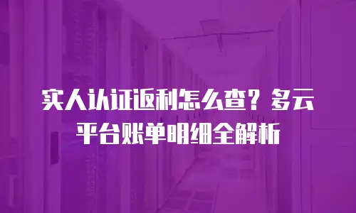 实人认证返利怎么查？多云平台账单明细全解析