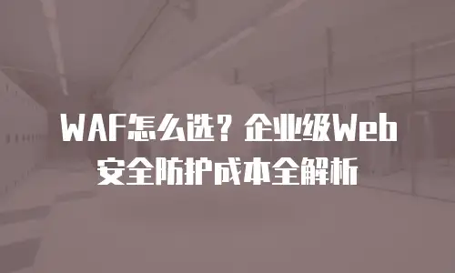 WAF怎么选？企业级Web安全防护成本全解析