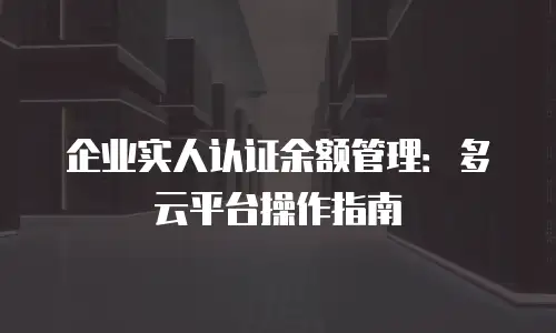 企业实人认证余额管理：多云平台操作指南