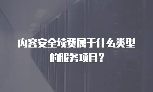 内容安全续费属于什么类型的服务项目？