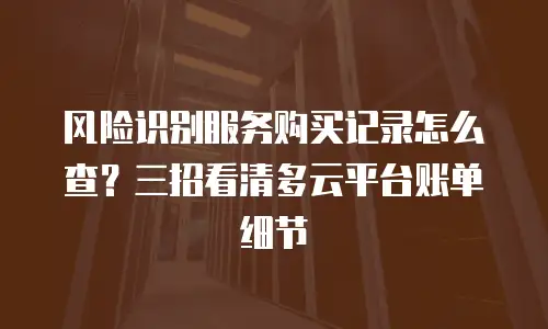 风险识别服务购买记录怎么查？三招看清多云平台账单细节