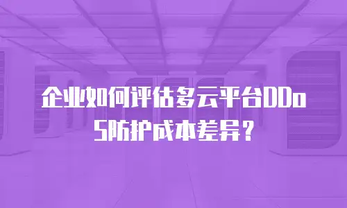企业如何评估多云平台DDoS防护成本差异？