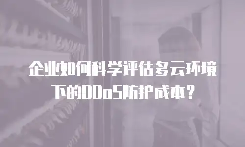 企业如何科学评估多云环境下的DDoS防护成本？