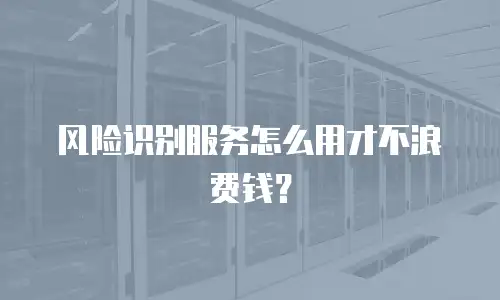 风险识别服务怎么用才不浪费钱？