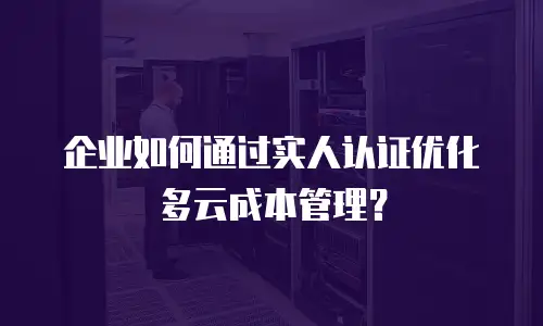 企业如何通过实人认证优化多云成本管理？