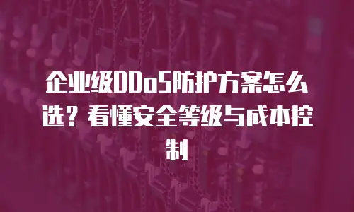 企业级DDoS防护方案怎么选？看懂安全等级与成本控制