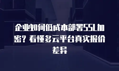 企业如何低成本部署SSL加密？看懂多云平台真实报价差异
