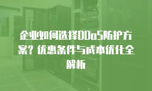 企业如何选择DDoS防护方案？优惠条件与成本优化全解析