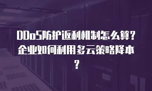DDoS防护返利机制怎么算？企业如何利用多云策略降本？
