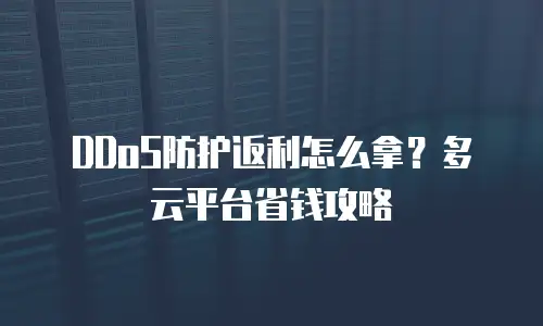 DDoS防护返利怎么拿？多云平台省钱攻略