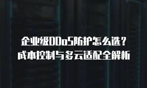 企业级DDoS防护怎么选？成本控制与多云适配全解析