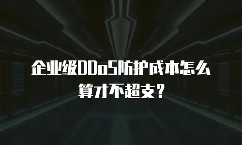 企业级DDoS防护成本怎么算才不超支？