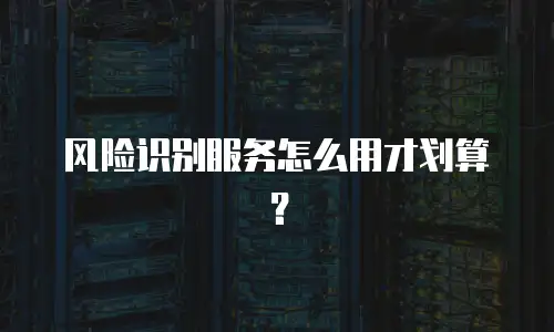 风险识别服务怎么用才划算？
