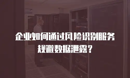 企业如何通过风险识别服务规避数据泄露？