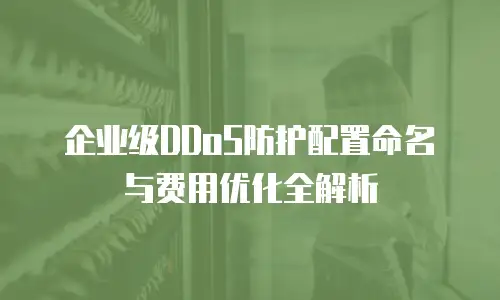 企业级DDoS防护配置命名与费用优化全解析