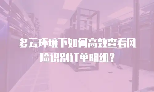 多云环境下如何高效查看风险识别订单明细？