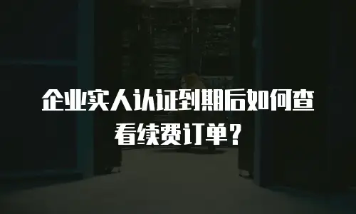 企业实人认证到期后如何查看续费订单？