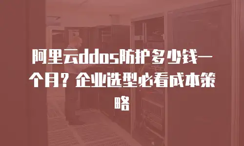 阿里云ddos防护多少钱一个月？企业选型必看成本策略