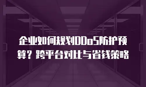 企业如何规划DDoS防护预算？跨平台对比与省钱策略